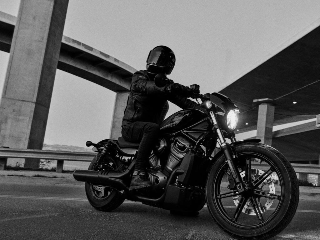 harley davidson nightster cena